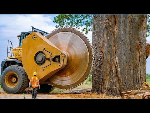 Jaw-Dropping Fastest Big Chainsaw Cutting Tree Machines | Monster Stump Removal Excavator #3 thumbnail