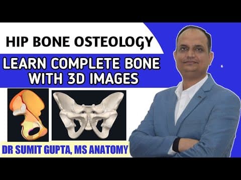 HIP BONE OSTEOLOGY thumbnail
