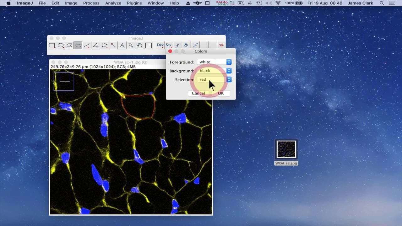 YouTube video player