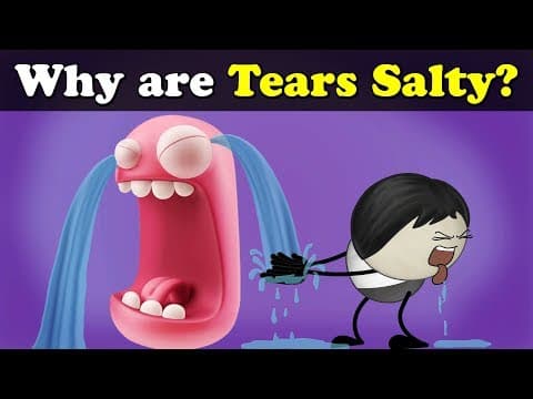 Why are Tears Salty? + more videos | #aumsum #kids #science #education #children thumbnail