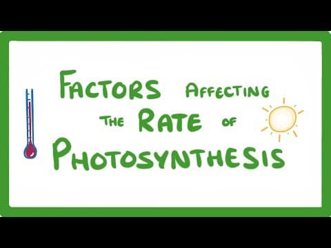 GCSE Biology - Factors Affecting the Rate of Photosynthesis thumbnail