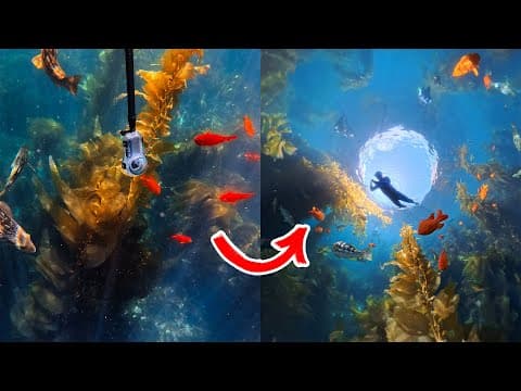 Insta360 X5 Dive Case Review & Tutorial (Unsponsored) thumbnail