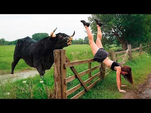 Best Fails of November  2025 😂 Try Not to Laugh Challenge thumbnail