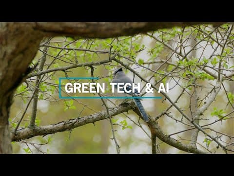 How Can Climate Informatics Support a Sustainable Future? | Green Tech & AI Ep. 3 thumbnail