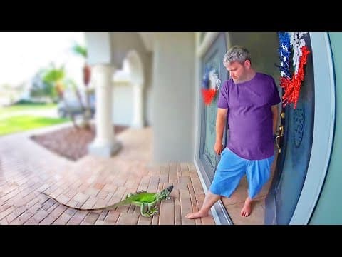 The Best Doorbell Videos Ever thumbnail
