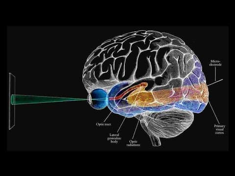 How Color Tricks The Eye And Brain thumbnail