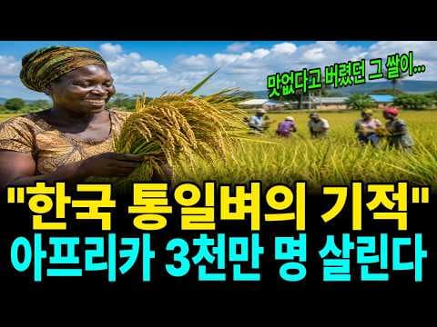 통일벼의 역사와 아프리카 이식이 가져온 변화는 무엇인가 thumbnail