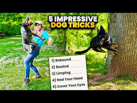Amaze Your Friends with These 5 Easy-to-Learn Dog Tricks thumbnail