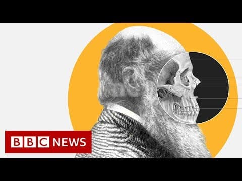 Theory of Evolution: How did Darwin come up with it? - BBC News thumbnail