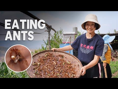 EATING ANTS and other delicacies on a Chinese street market - my weirdest food experience | EP30, S2 thumbnail