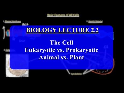 IMAT Biology Lesson 2.2 | The Cell | Prokaryotic vs Eukaryotic / Animal vs Plant Cells thumbnail
