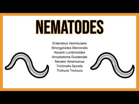 Nematodes (INTESTINAL parasites) thumbnail