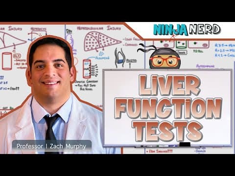 How to Interpret Liver Function Test Results thumbnail