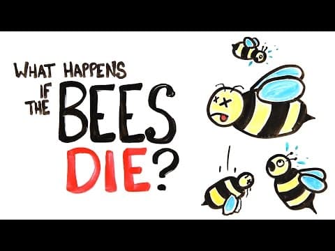 What If Bees Disappeared Completely? thumbnail