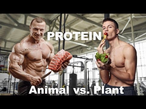 What Is the Best Protein Source for Health? thumbnail
