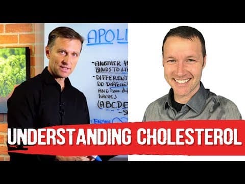 Cholesterol Basics 101 by Dave Feldman & Dr. Berg thumbnail