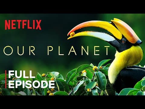 Our Planet | Forests | FULL EPISODE | Netflix thumbnail