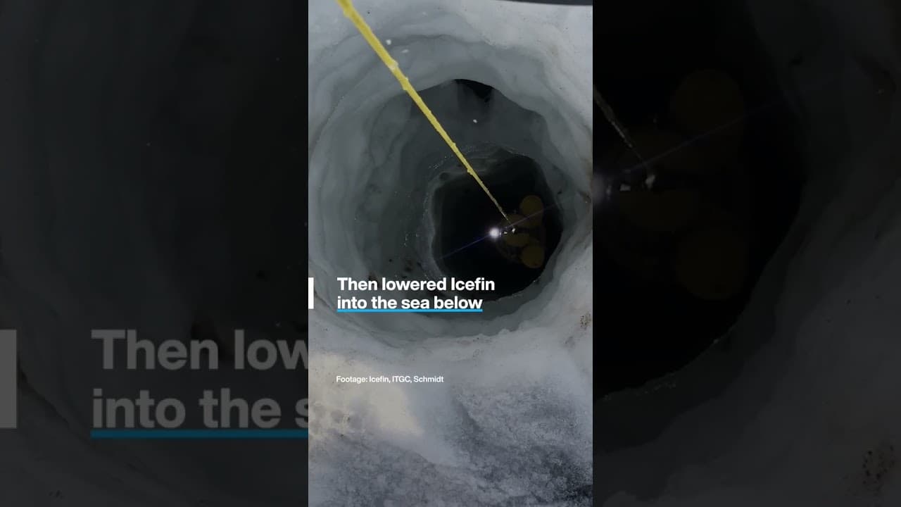 YouTube video player