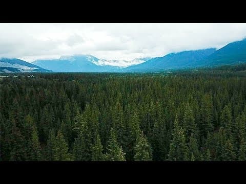 3 Reasons EVERY Photographer Should Own A DRONE! thumbnail