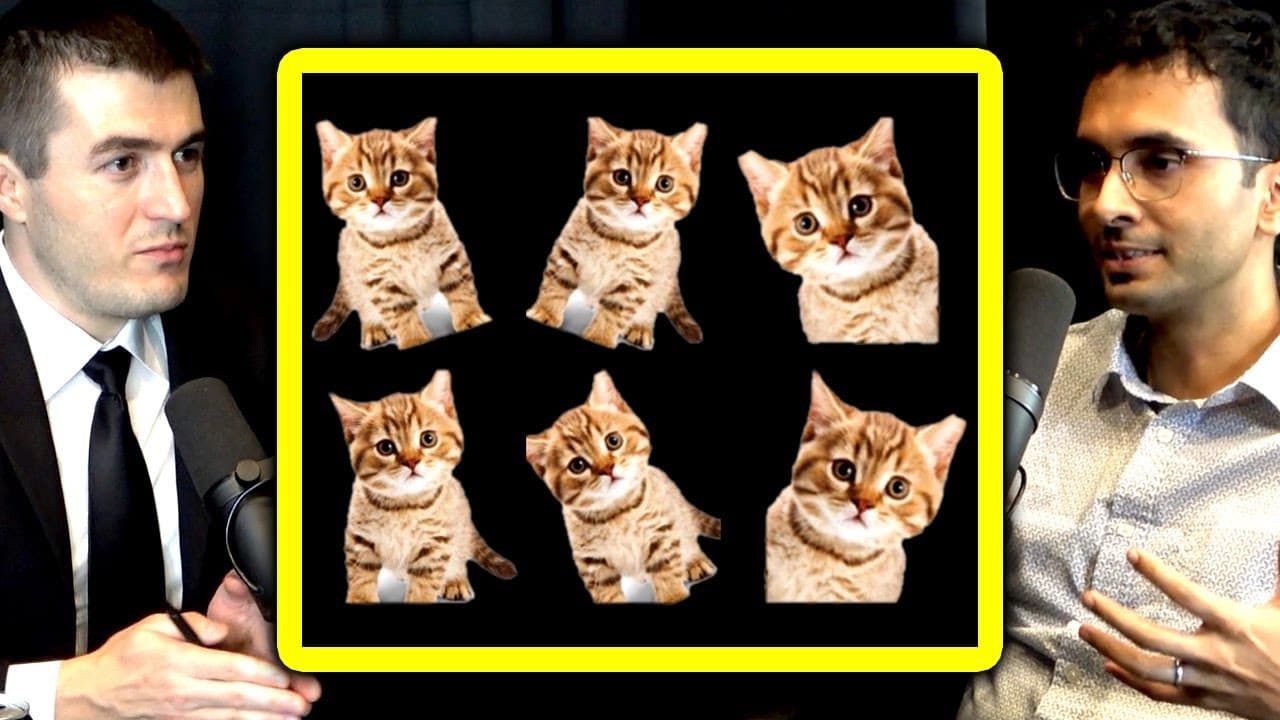 YouTube video player