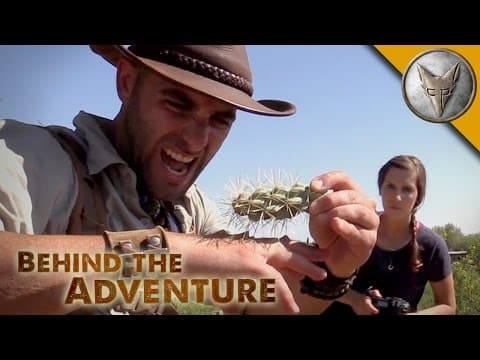 What Happens When You Encounter a Gila Monster? thumbnail