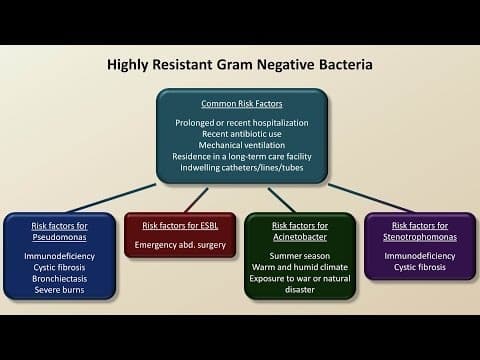 Antibiotics for Gram Negative Infections (Antibiotics - Lecture 5) thumbnail