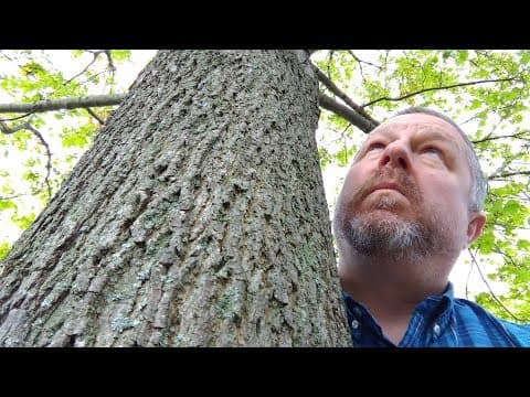 How Can I Practice My English Listening and Conversation Skills? thumbnail