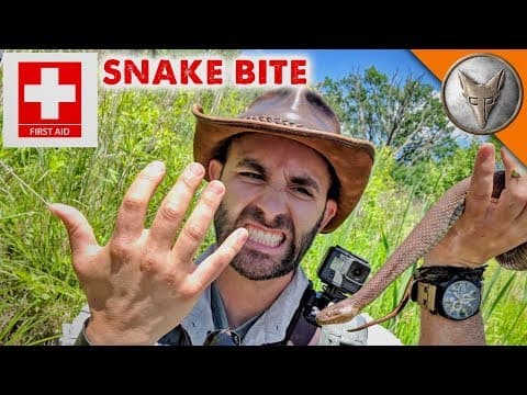 Snake Bite First-Aid thumbnail