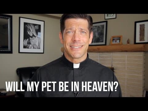 Will My Pet Be in Heaven? thumbnail
