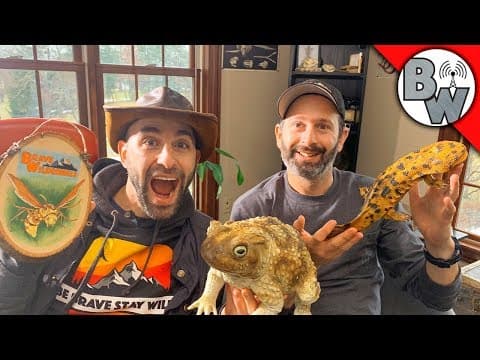 Mario & Coyote Livestream! thumbnail
