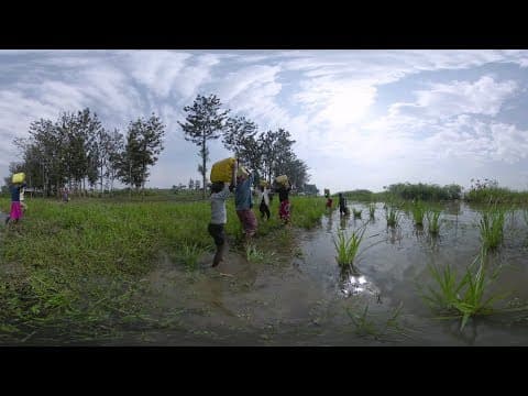 Young Africa: Yvette Ishimwe thumbnail