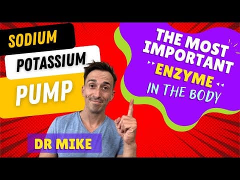 Sodium Potassium Pump | The Most Important Enzyme in the Body! thumbnail