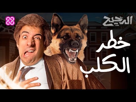 خطر الكلب | الدحيح thumbnail
