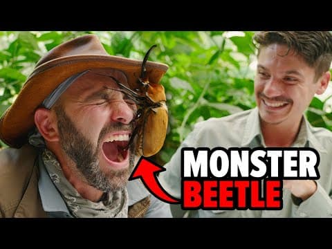What Makes Costa Rica a Paradise for Insects? thumbnail