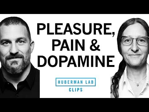 How & Why Pleasure Becomes Addiction | Dr. Anna Lempke & Dr.Andrew Huberman thumbnail