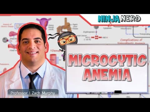 How to diagnose microcytic anemia effectively thumbnail