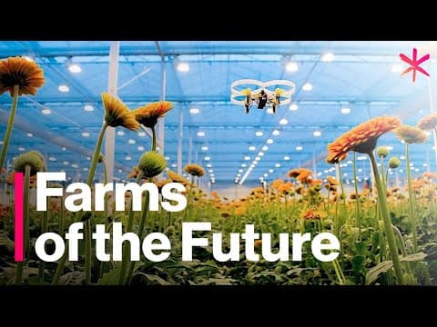 The Futuristic Farms That Will Feed the World | Freethink | Future of Food thumbnail