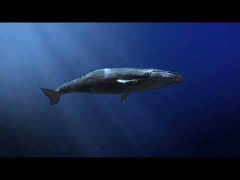 10 Unusual Scientific Discoveries for July 2023 thumbnail