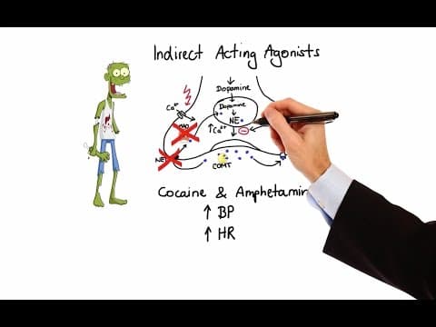 Pharmacology - ADRENERGIC RECEPTORS & AGONISTS (MADE EASY) thumbnail
