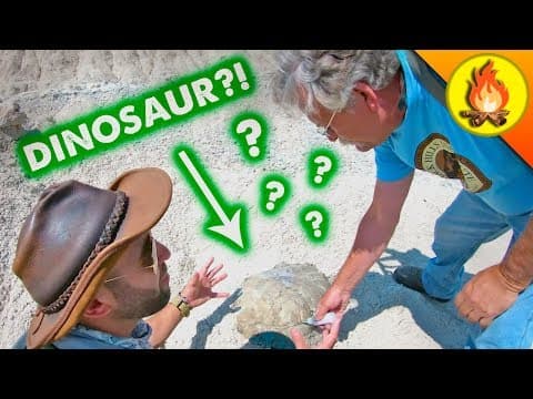 What's Beyond Dinosaurs? thumbnail