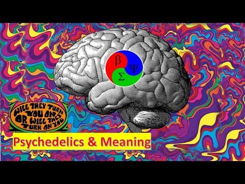 Psychedelics and Meaning - Real Case Study thumbnail