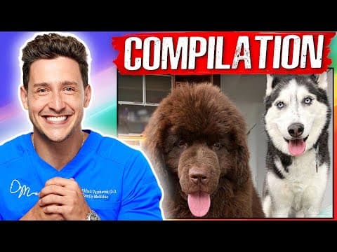 What Are the Benefits of Getting a Dog? thumbnail
