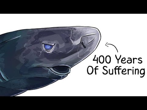 Why it Sucks To Be Born As a Greenland Shark thumbnail