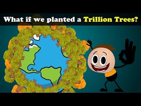 What if we planted a Trillion Trees? + more videos | #aumsum #kids #science #education #children thumbnail