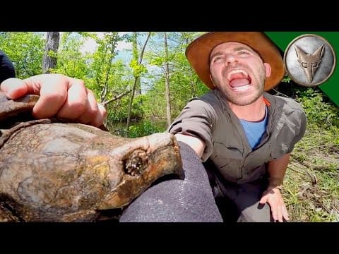 CRAZY Alligator Snapping Turtle Bite! thumbnail