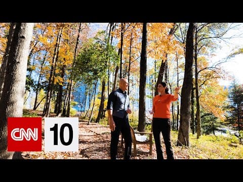 How do fall foliage colors form and change thumbnail