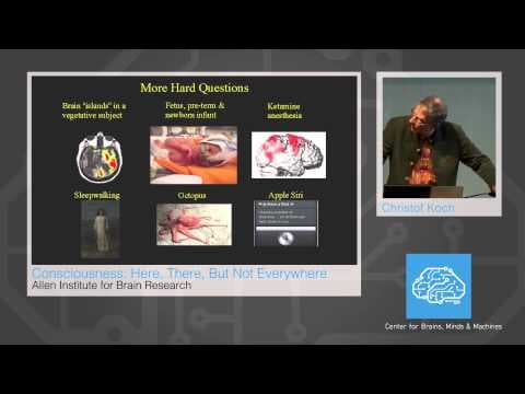 The Integrated Information Theory of Consciousness thumbnail