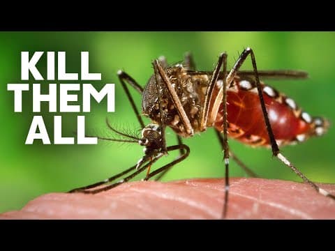 What If We Killed Every Mosquito On Earth? thumbnail