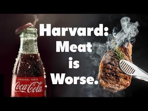 Harvard says Red Meat is WORSE than Junk Food thumbnail