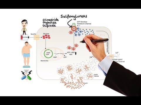 Pharmacology - DRUGS FOR DIABETES (MADE EASY) thumbnail
